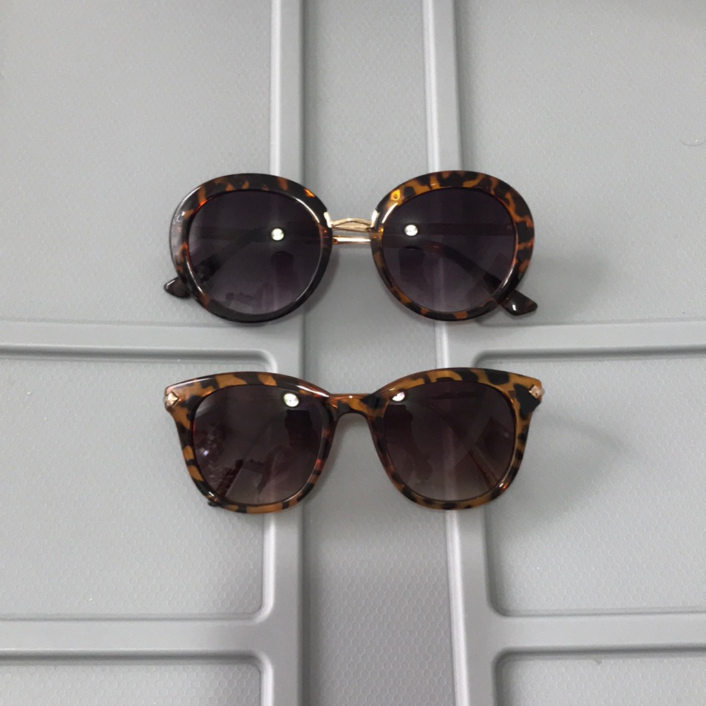 New Tortoise Bundle